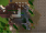 magicshop.png
