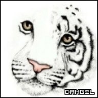 Damgil