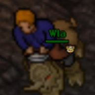 Wla