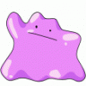 Ditto