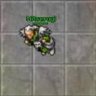 Elder
