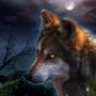 Soul Wolf