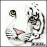 Damgil