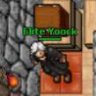 Elite Yoock