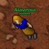 Alavenia