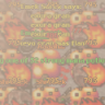 Emekk