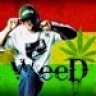 WeeD08