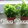 Don Donica