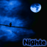 NighTe