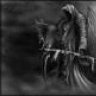 BlackDeD