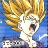 drozd001