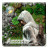 Assasin Legend