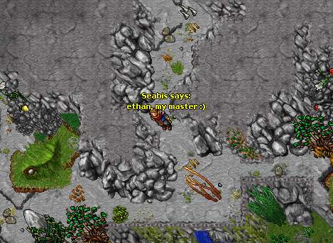 ss29.png