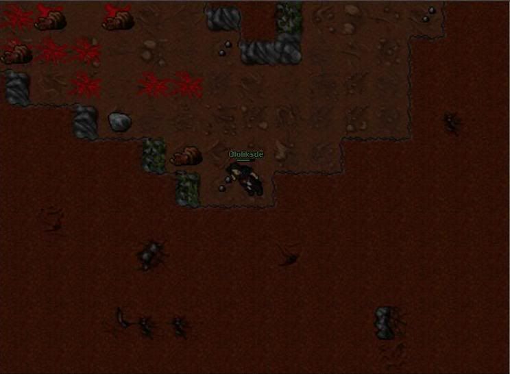 sspunkt2.jpg