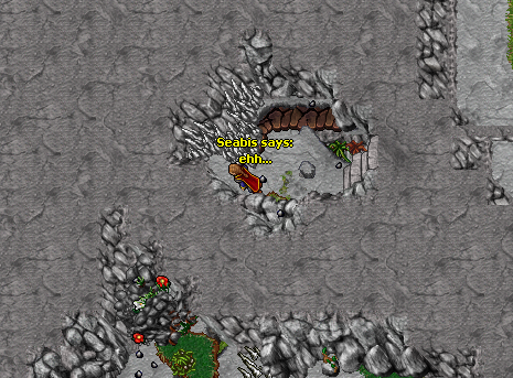 ss25.png