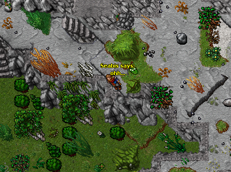 ss27.png