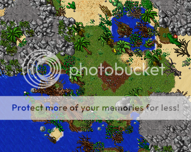50.png