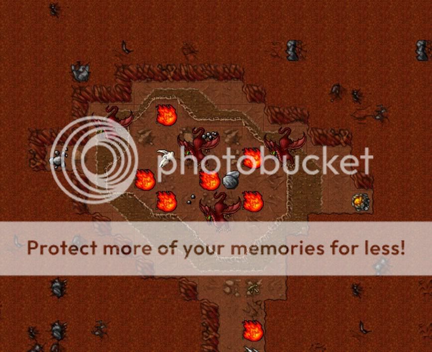 DLe3.jpg