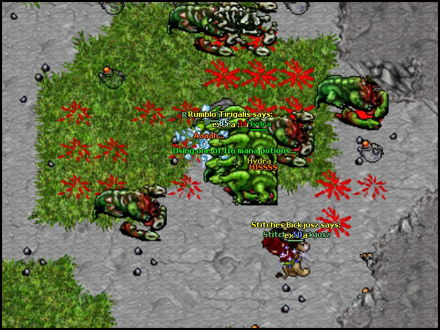 p02tQOe.jpg
