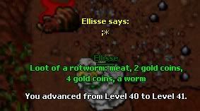 41.jpg
