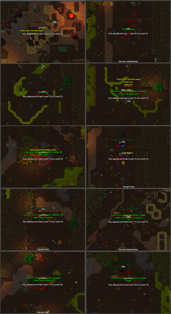 Aururaotland011.png
