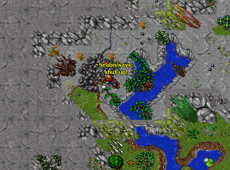 ss28.png
