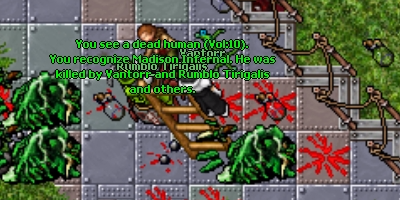 kakADLg.jpg