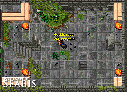 ss35.png
