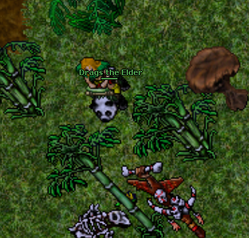 panda.png