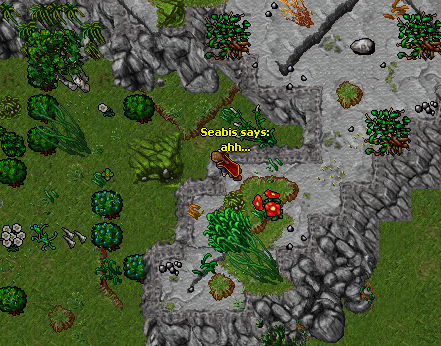 ss26.png