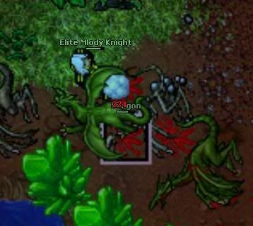 bicia1.jpg