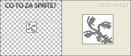 RIE6DPl.png