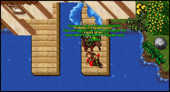cmNf6px.jpg