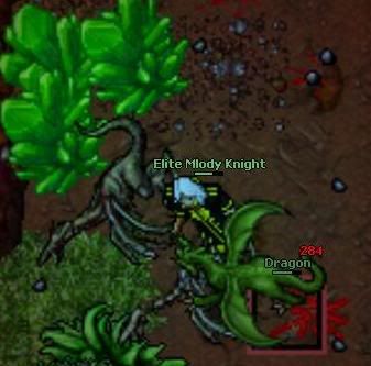 bicia3.jpg