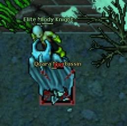 bicia6.jpg