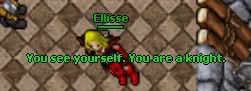 knight.jpg