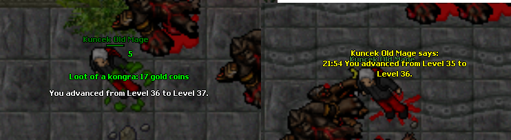 fdde856d535e7e78.png