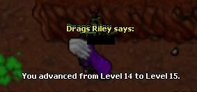 15djpg.jpg