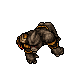 Kongra.gif