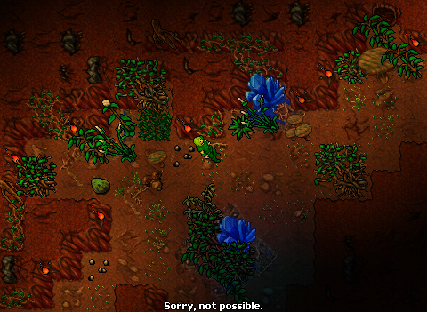 fluos2.png