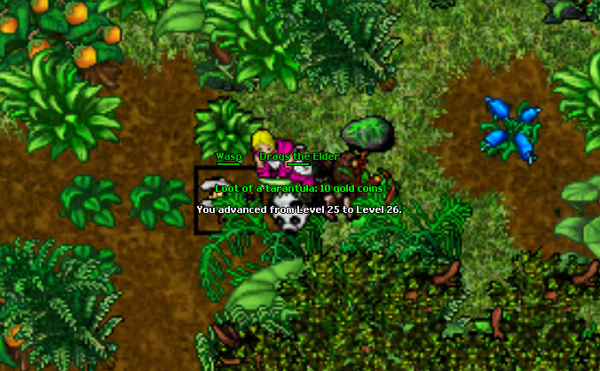 26.png