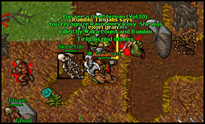 qd3XAkN.jpg